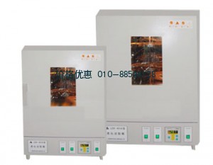 上海森信LSX-401A老化试验箱
