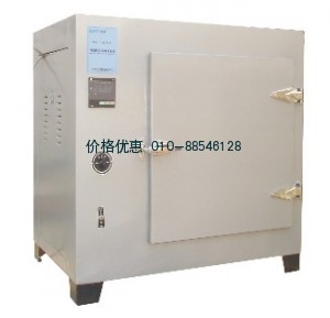 上海新苗DHG-9643BS-Ⅲ电热恒温鼓风干燥箱（500度）